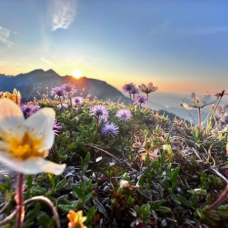 Ferienwohnung Gasser Hahnenkamm Blick Ройтте Екстер'єр фото